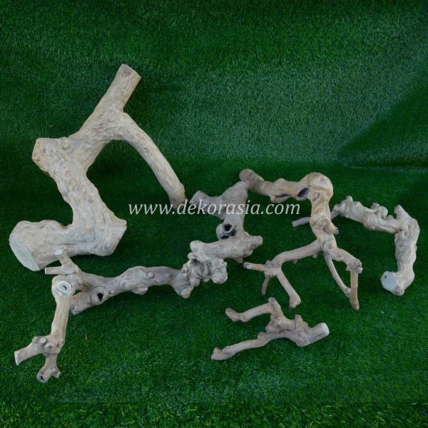 Coffee Root Wood (all Size) for Jungle Gym Reptile, Vivariums Reptile, Aquarium, Aquascaping, Coffee Root Decor Craft