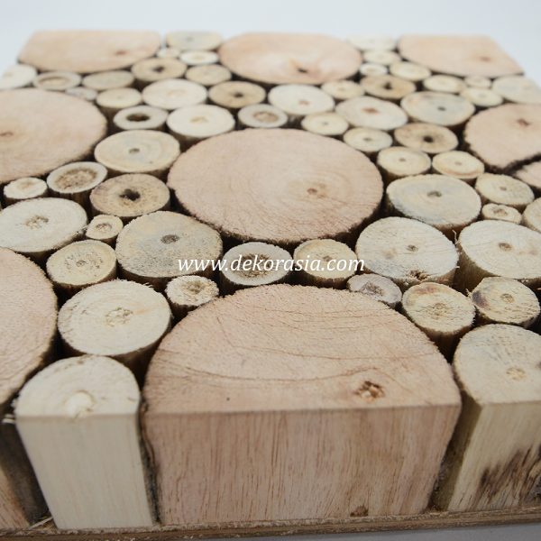 Driftwood or Plywood Mini Panels for Terrarium, and Reptile Enclosures - Image 2