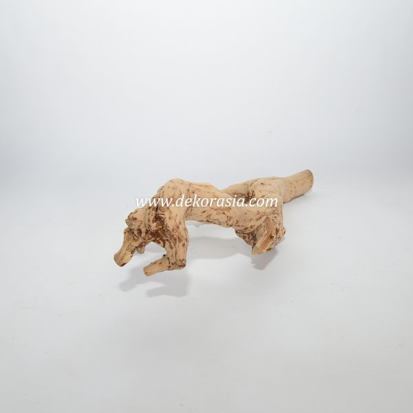 Tea Wood Unique Shape, Java Wood for Cage, Home Decoration - Image 3