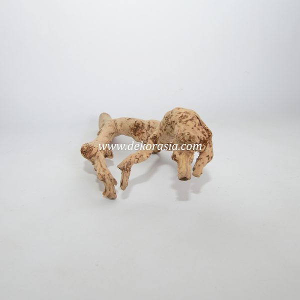 Tea Wood Unique Shape, Java Wood for Cage, Home Decoration - Image 2