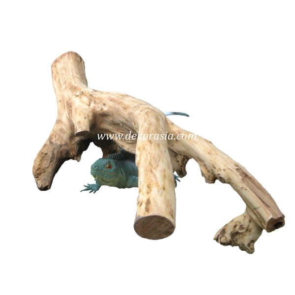 Tea Wood Unique Shape, Java Wood for Cage, Home Decoration - Image 2