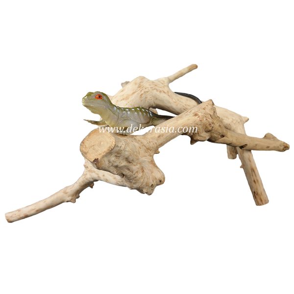 Tea Wood Unique Shape, Java Wood for Cage, Home Decoration