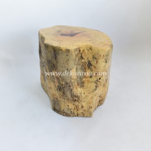 Spalted Wood Stool