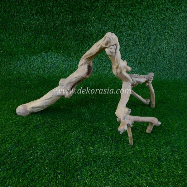 Coffee Root Wood (Size M) for Jungle Gym Reptile, Vivariums Reptile, Aquarium, Aquascaping, Coffee Root Decor Craft - Image 2