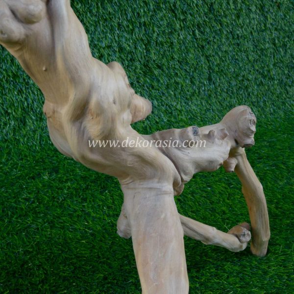 Coffee Root Wood (Size M) for Jungle Gym Reptile, Vivariums Reptile, Aquarium, Aquascaping, Coffee Root Decor Craft - Image 5