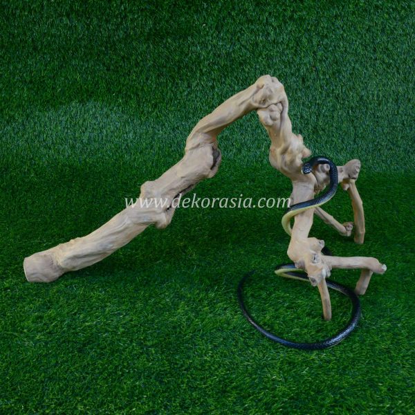 Coffee Root Wood (Size M) for Jungle Gym Reptile, Vivariums Reptile, Aquarium, Aquascaping, Coffee Root Decor Craft