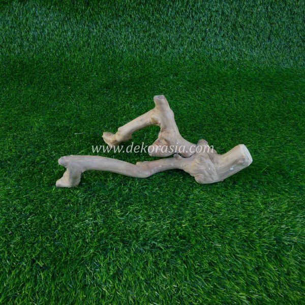 Coffee Root Wood (Size S) for Jungle Gym Reptile, Vivariums Reptile, Aquarium, Aquascaping, Coffee Root Decor Craft - Image 2