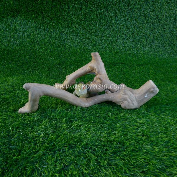 Coffee Root Wood (all Size) for Jungle Gym Reptile, Vivariums Reptile, Aquarium, Aquascaping, Coffee Root Decor Craft - Image 5