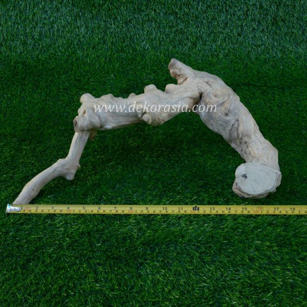 Coffee Root Wood (all Size) for Jungle Gym Reptile, Vivariums Reptile, Aquarium, Aquascaping, Coffee Root Decor Craft - Image 4
